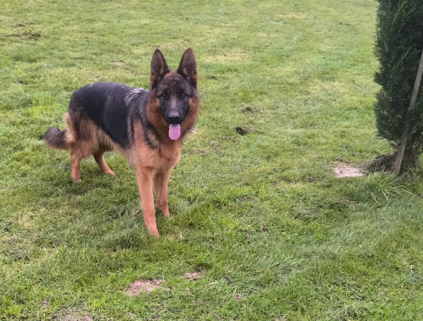 Vania De la Maison des Jeunes