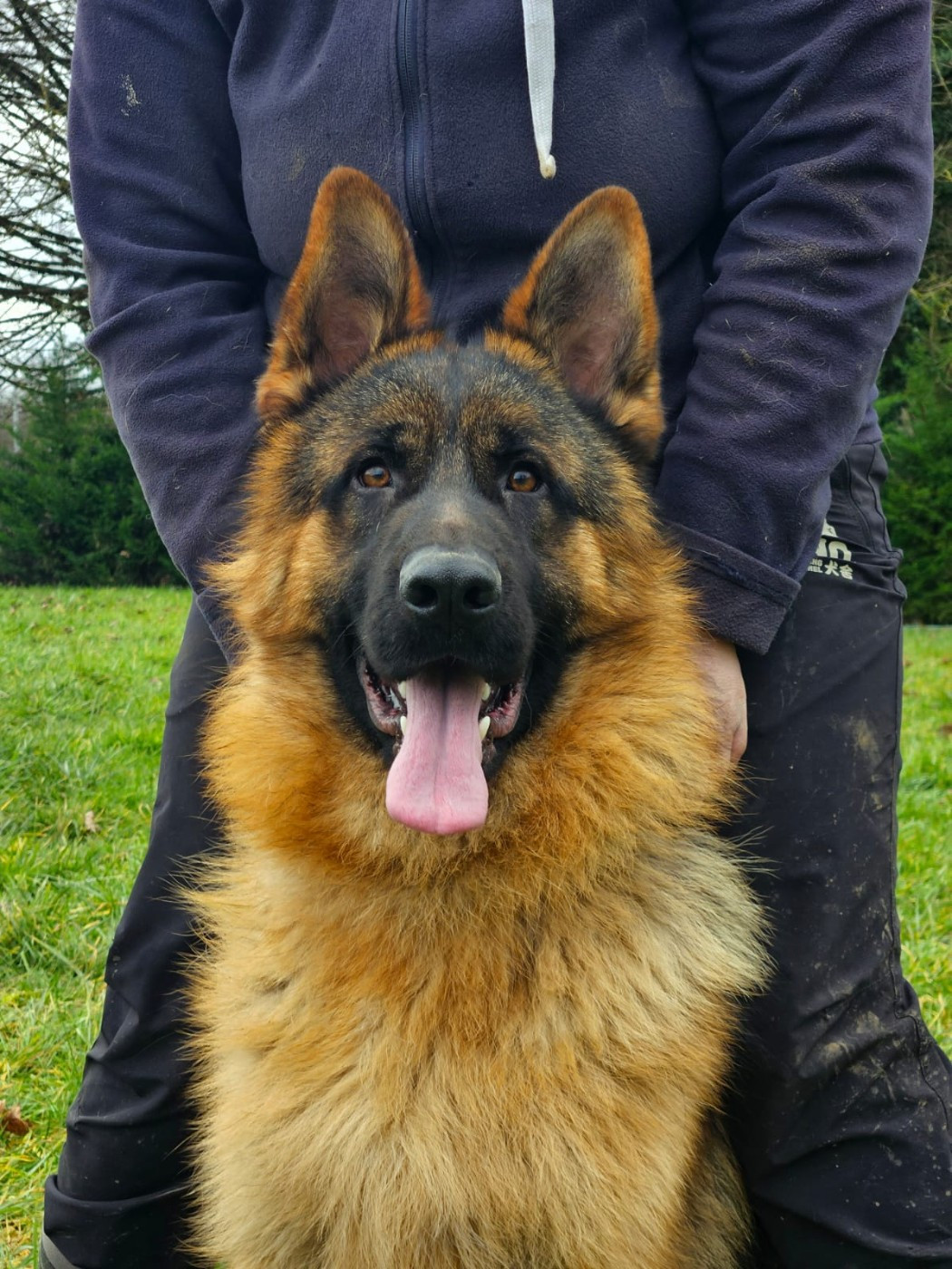 Athos vom angelius team